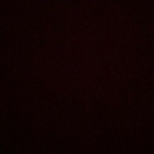 Meet your Posher, Brayden